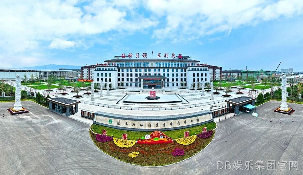 喜报 |DB娱乐集团官网荣获陕西省“专精特新”中小企业称号